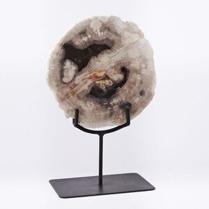 West Elm Petrified Wood Object on Stand
